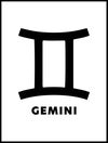 P765076-Gemini_30x40_WEBB.jpg